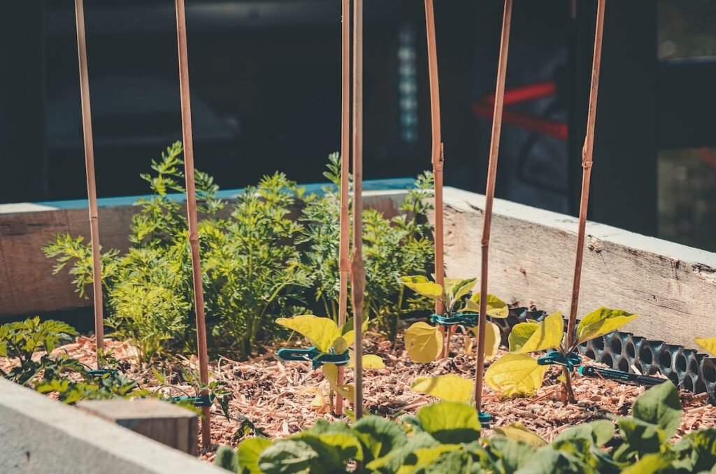 raised garden flower bed