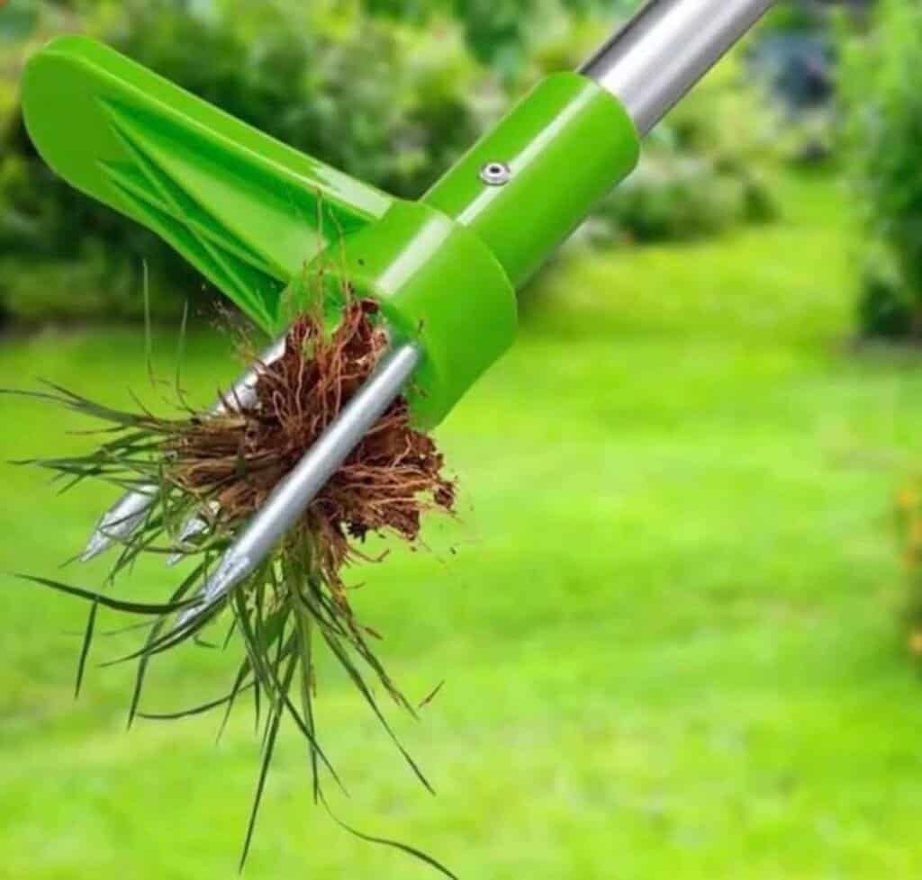 Standing Plant Root Remover