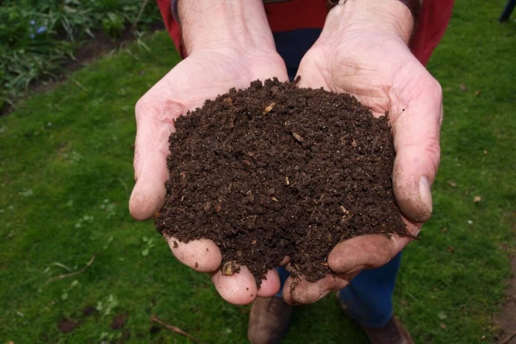 soil health in hands