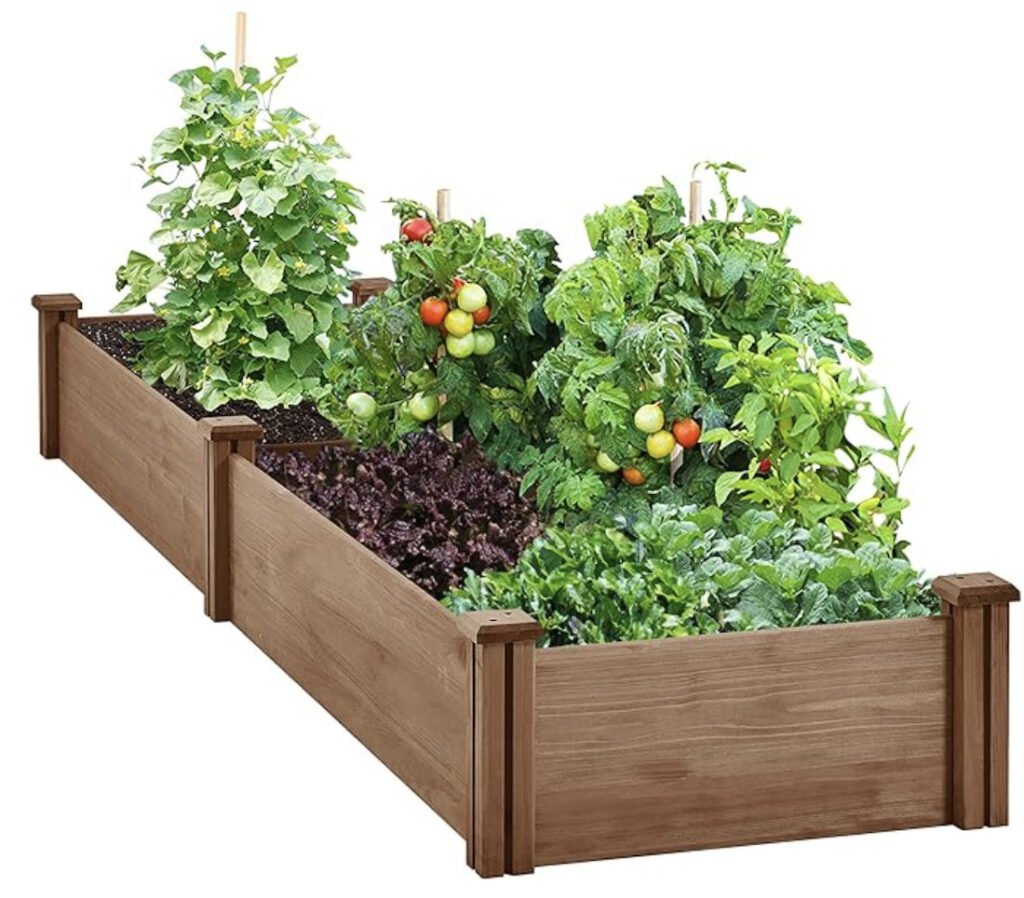 raised bed pain free gardening