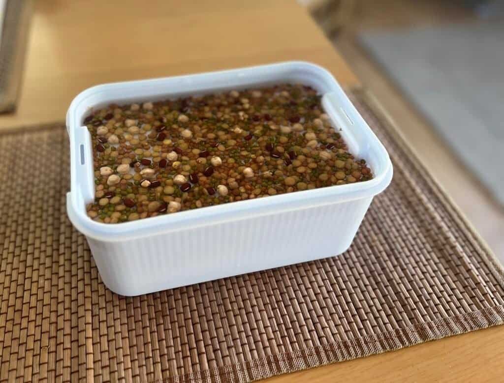 How to Grow Sprouts Using a Sprouting Tray (Easy Indoor Gardening Guide) 4 sprouting sprouts soak seeds