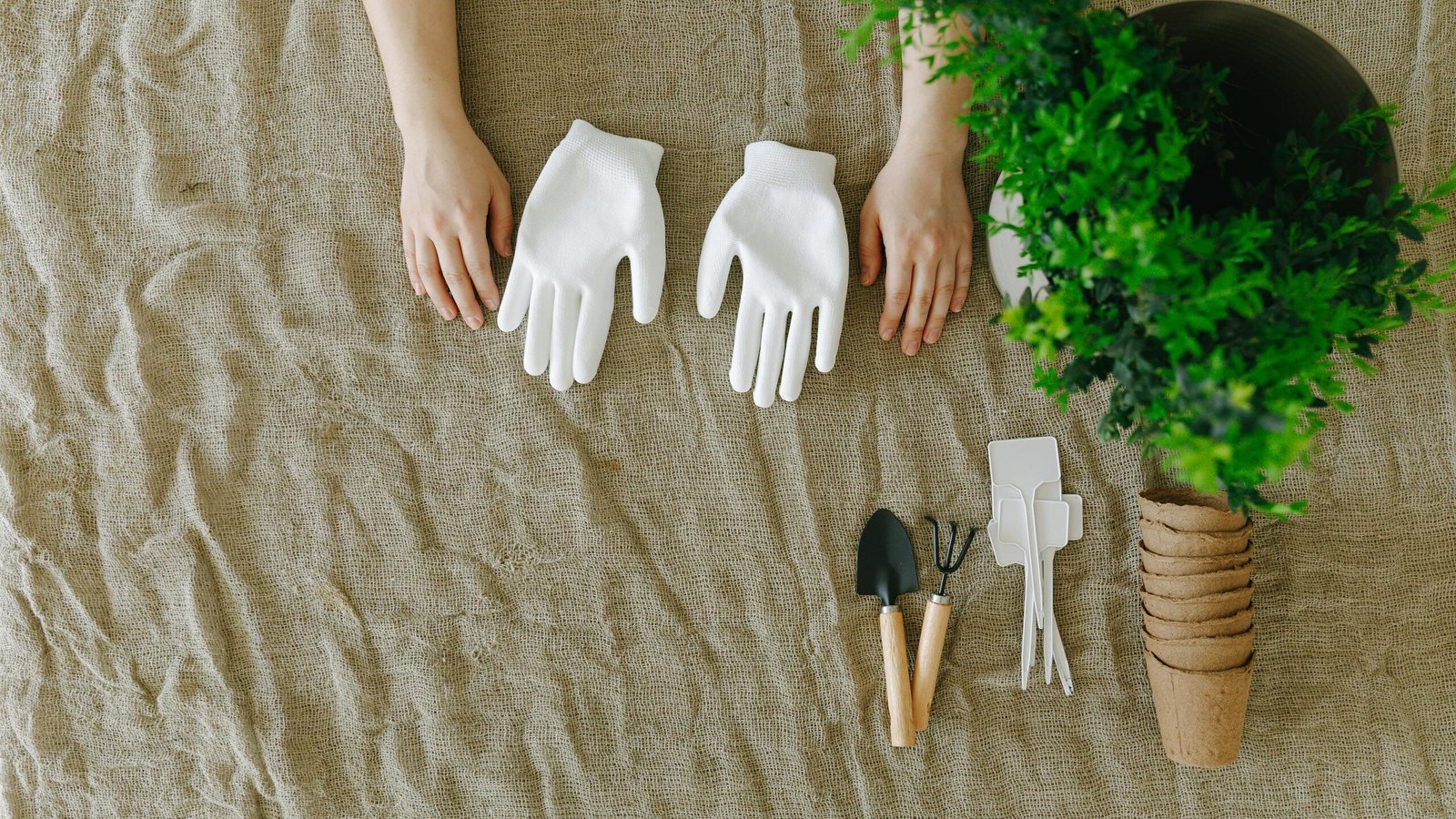 Gardening Without Pain: My Favorite Adaptive Garden Tools That Make a Difference 2 adaptive garden tools