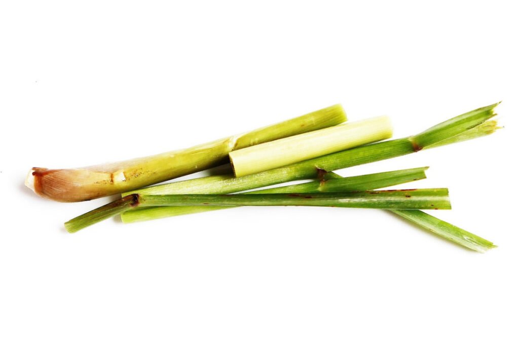 🌿 9 Beautiful Plants That Naturally Repel Mosquitoes 10 lemongrass