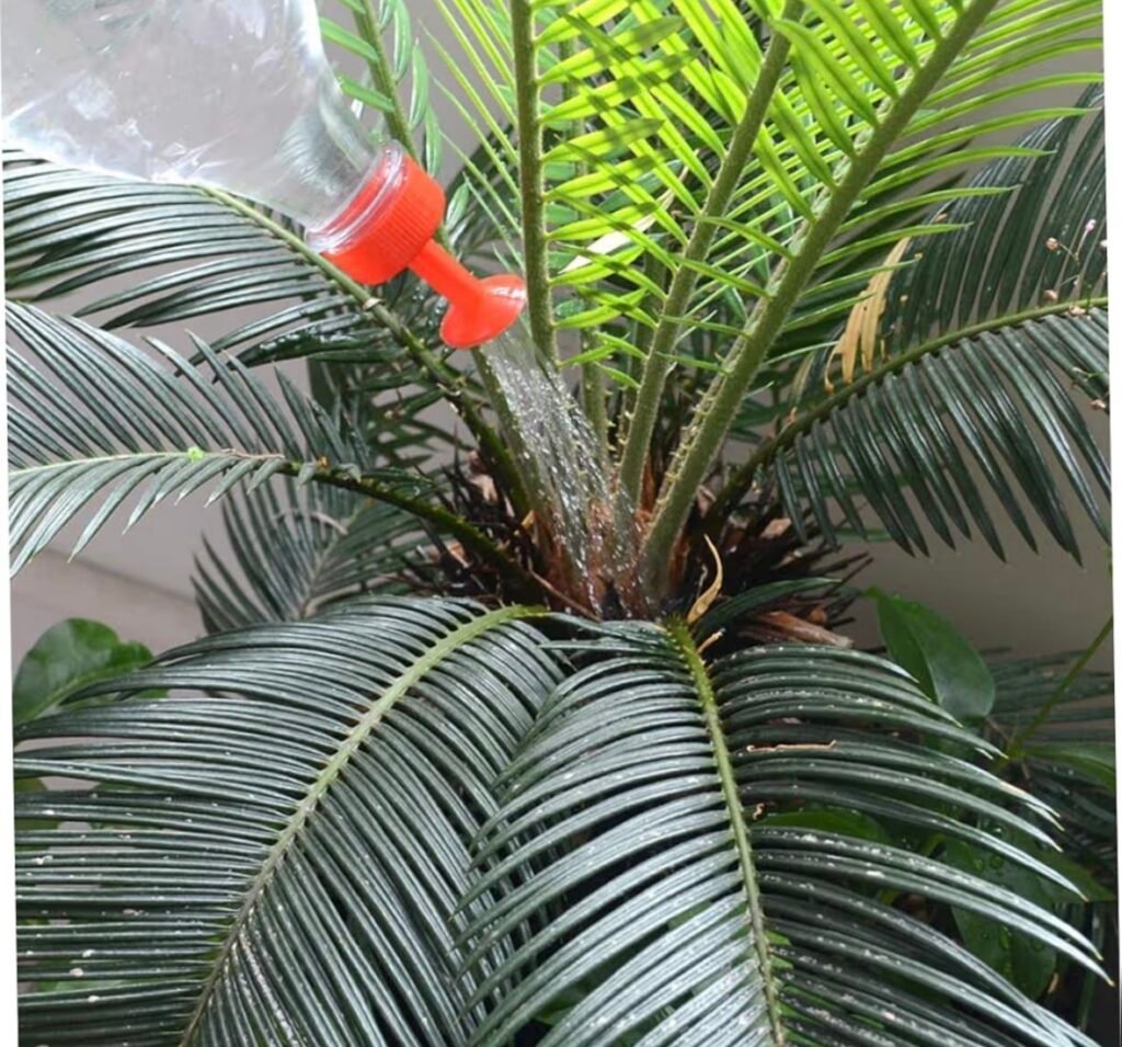 Woman using a bottle top sprinkler to water potted plants eas