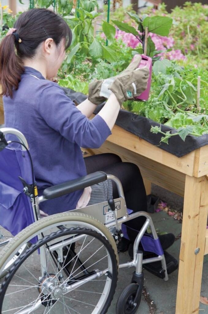 Raised Bed Gardening for Seniors & Wheelchair Users: The Complete Height Guide 4 IMG 1224