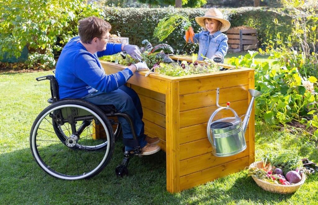 Raised Bed Gardening for Seniors & Wheelchair Users: The Complete Height Guide 3 IMG 1227